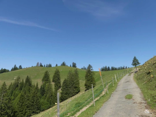 sonloup-montbrion-lally-139