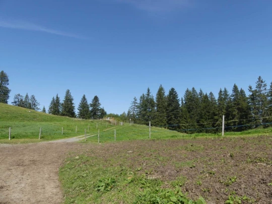 sonloup-montbrion-lally-140