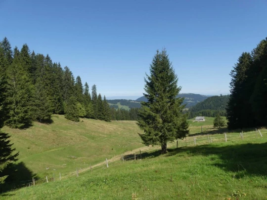 sonloup-montbrion-lally-143