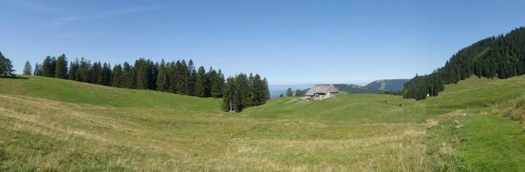 sonloup-montbrion-lally-150