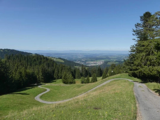 sonloup-montbrion-lally-156