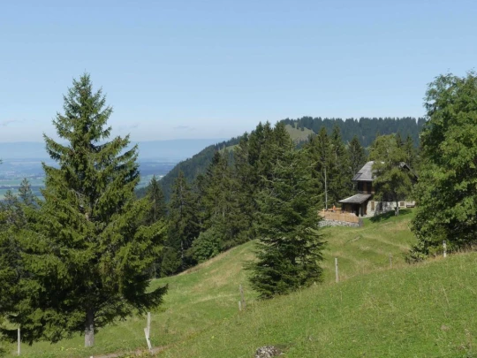 sonloup-montbrion-lally-159