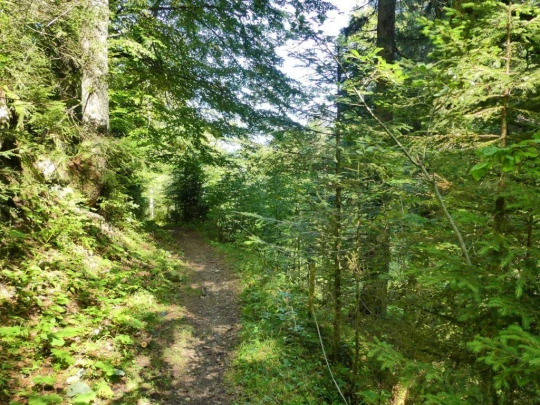 sonloup-montbrion-lally-163