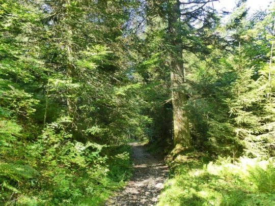 sonloup-montbrion-lally-164