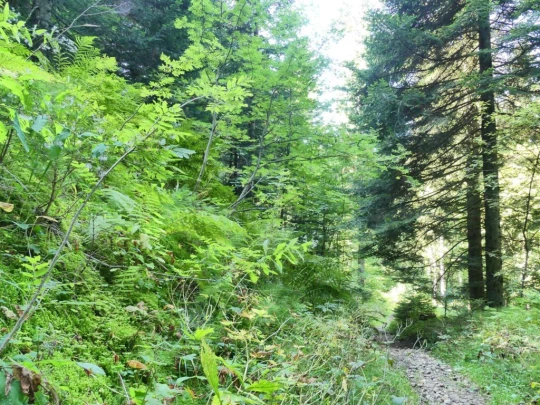 sonloup-montbrion-lally-165