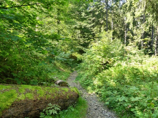 sonloup-montbrion-lally-166