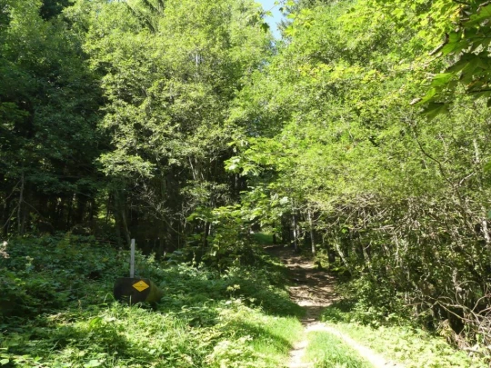 sonloup-montbrion-lally-170