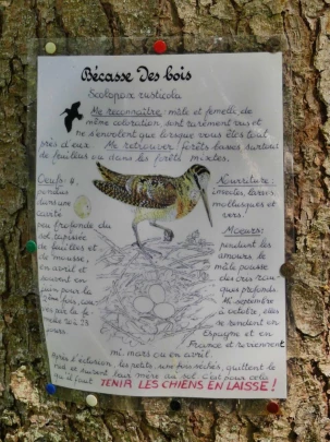 sonloup-montbrion-lally-173