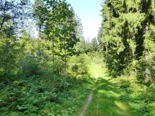 sonloup-montbrion-lally-174