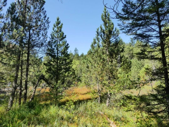 sonloup-montbrion-lally-184