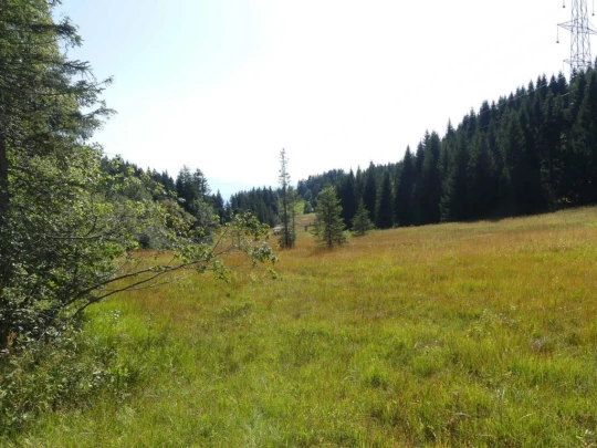 sonloup-montbrion-lally-190