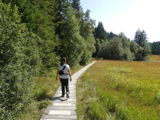 sonloup-montbrion-lally-191