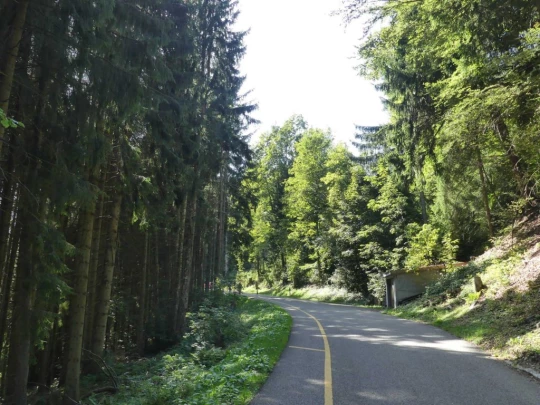 sonloup-montbrion-lally-200