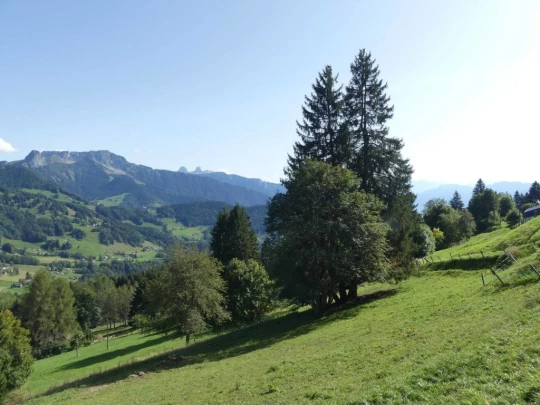 sonloup-montbrion-lally-202