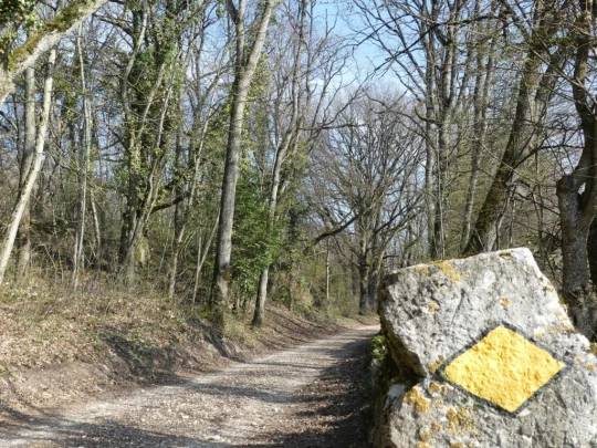 st-blaise-la-neuveville-120