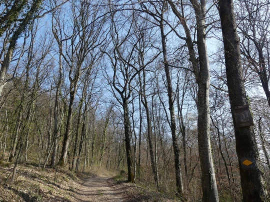 st-blaise-la-neuveville-123