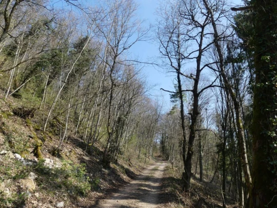 st-blaise-la-neuveville-125