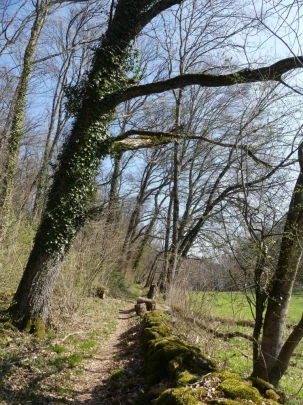 st-blaise-la-neuveville-129