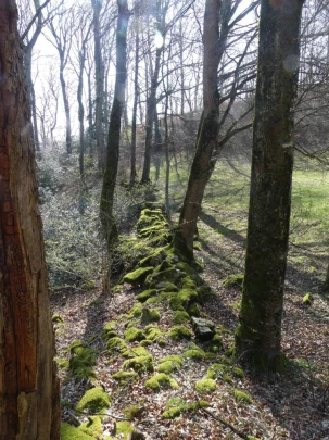 st-blaise-la-neuveville-130