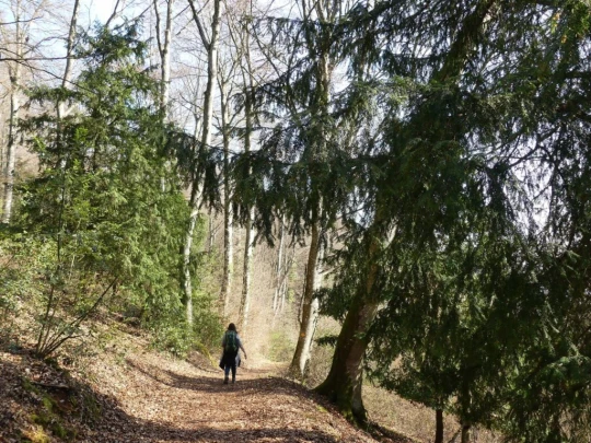 st-blaise-la-neuveville-136