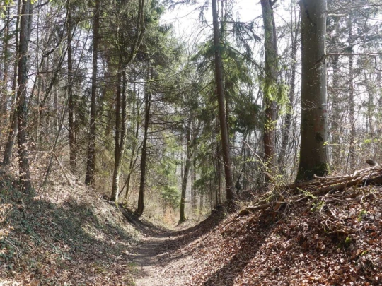 st-blaise-la-neuveville-137