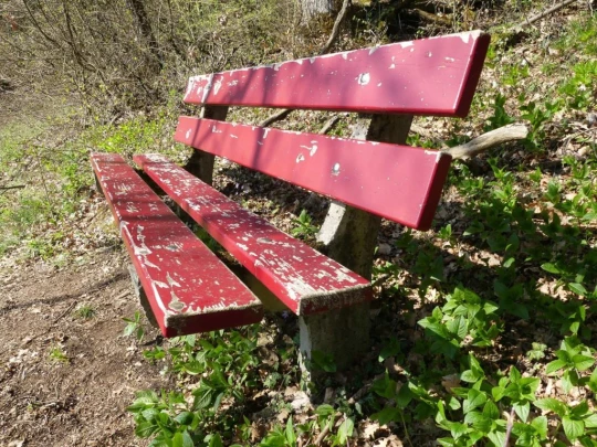 st-blaise-la-neuveville-139