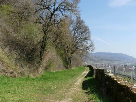 st-blaise-la-neuveville-145