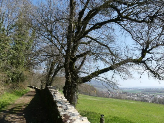 st-blaise-la-neuveville-148