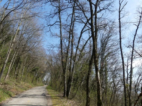 st-blaise-la-neuveville-185