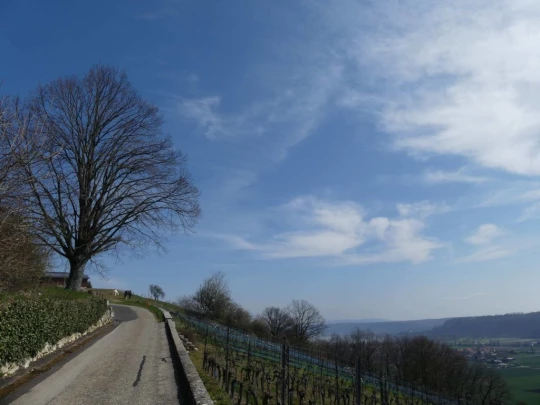 st-blaise-la-neuveville-186