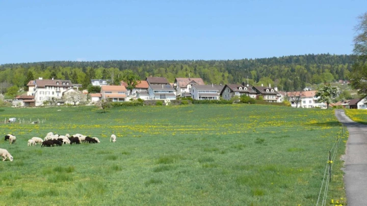 animal mouton St-George Longirod Marchissy Le Vaud Zoo de la Garenne Bassins