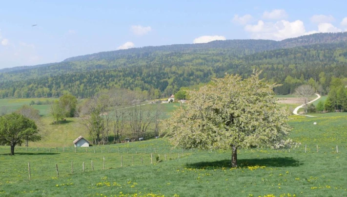 St-George Longirod Marchissy Le Vaud Zoo de la Garenne Bassins
