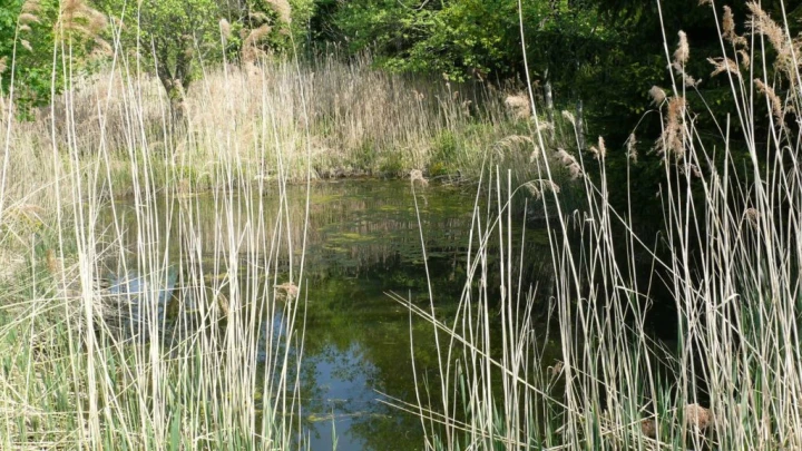 St-George Longirod Marchissy Le Vaud Zoo de la Garenne Bassins