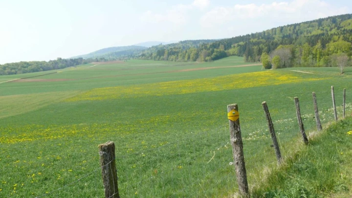 St-George Longirod Marchissy Le Vaud Zoo de la Garenne Bassins