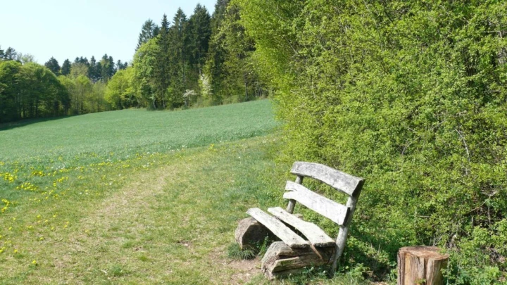 St-George Longirod Marchissy Le Vaud Zoo de la Garenne Bassins