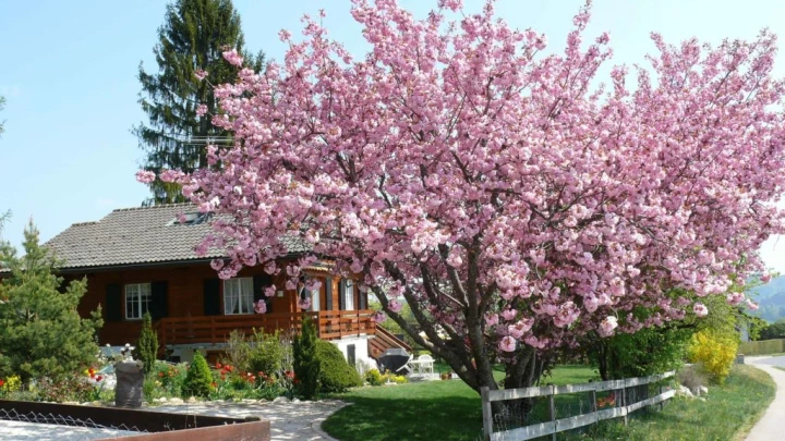 St-George Longirod Marchissy Le Vaud Zoo de la Garenne Bassins
