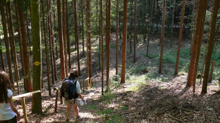 Elodie Fabienne St-George Longirod Marchissy Le Vaud Zoo de la Garenne Bassins