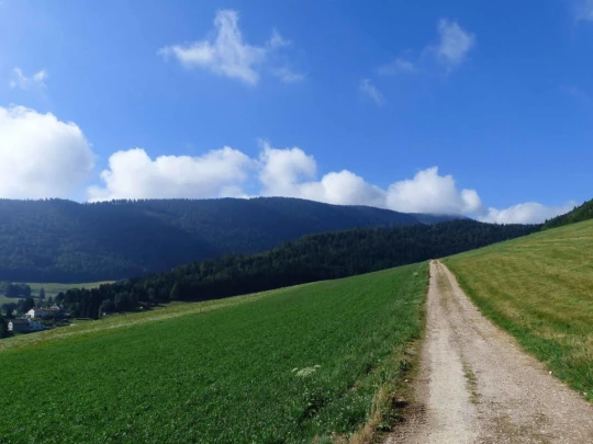 ste-croix-mont-baulmes-ste-croix-102