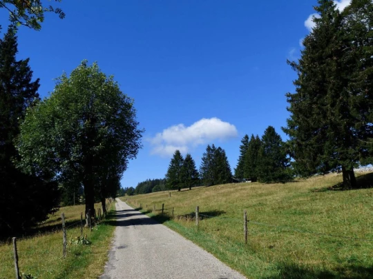 ste-croix-mont-baulmes-ste-croix-108