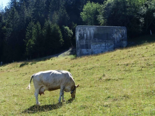 ste-croix-mont-baulmes-ste-croix-117