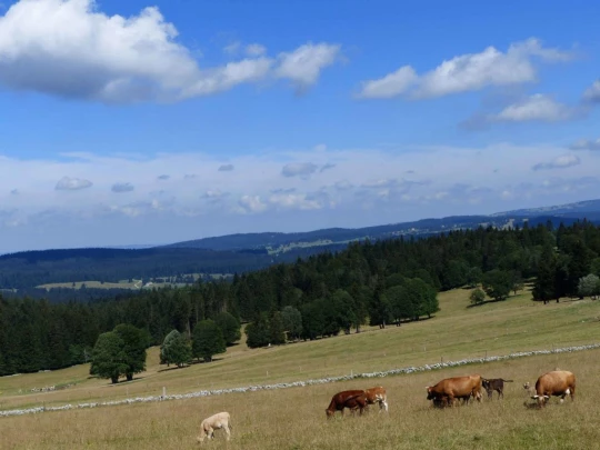 ste-croix-mont-baulmes-ste-croix-118