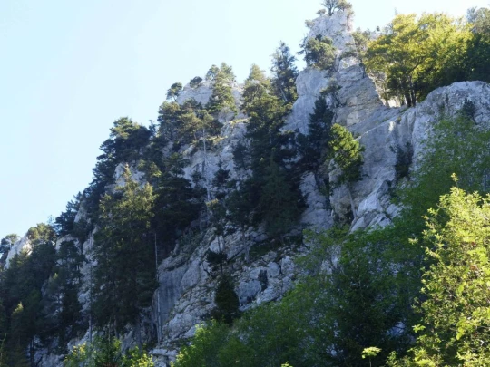 ste-croix-mont-baulmes-ste-croix-121