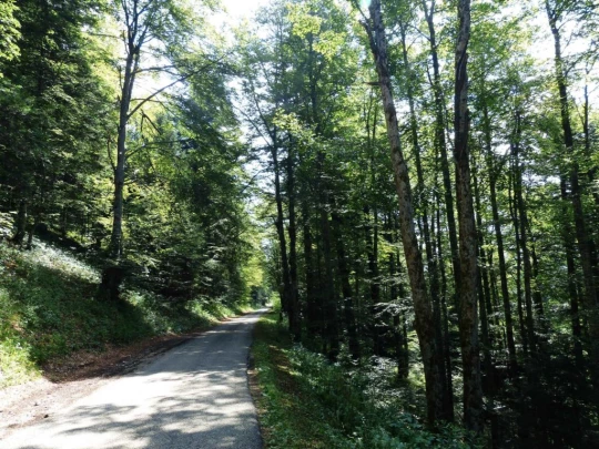 ste-croix-mont-baulmes-ste-croix-123