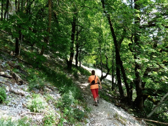 ste-croix-mont-baulmes-ste-croix-138