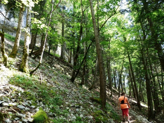 ste-croix-mont-baulmes-ste-croix-139