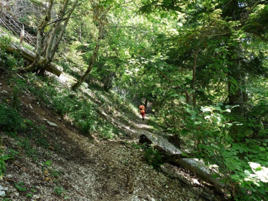 ste-croix-mont-baulmes-ste-croix-140