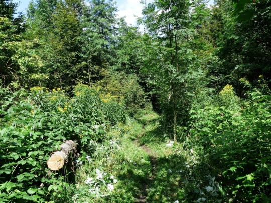 ste-croix-mont-baulmes-ste-croix-154