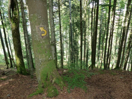 ste-croix-mont-baulmes-ste-croix-156