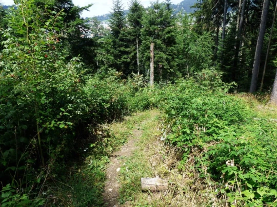 ste-croix-mont-baulmes-ste-croix-157