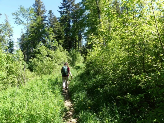 ste-croix-saut-de-l-eau-ste-croix-112